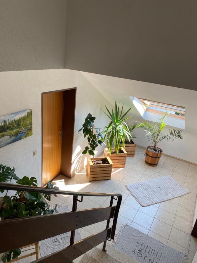 Apartment Skywalk Willingen