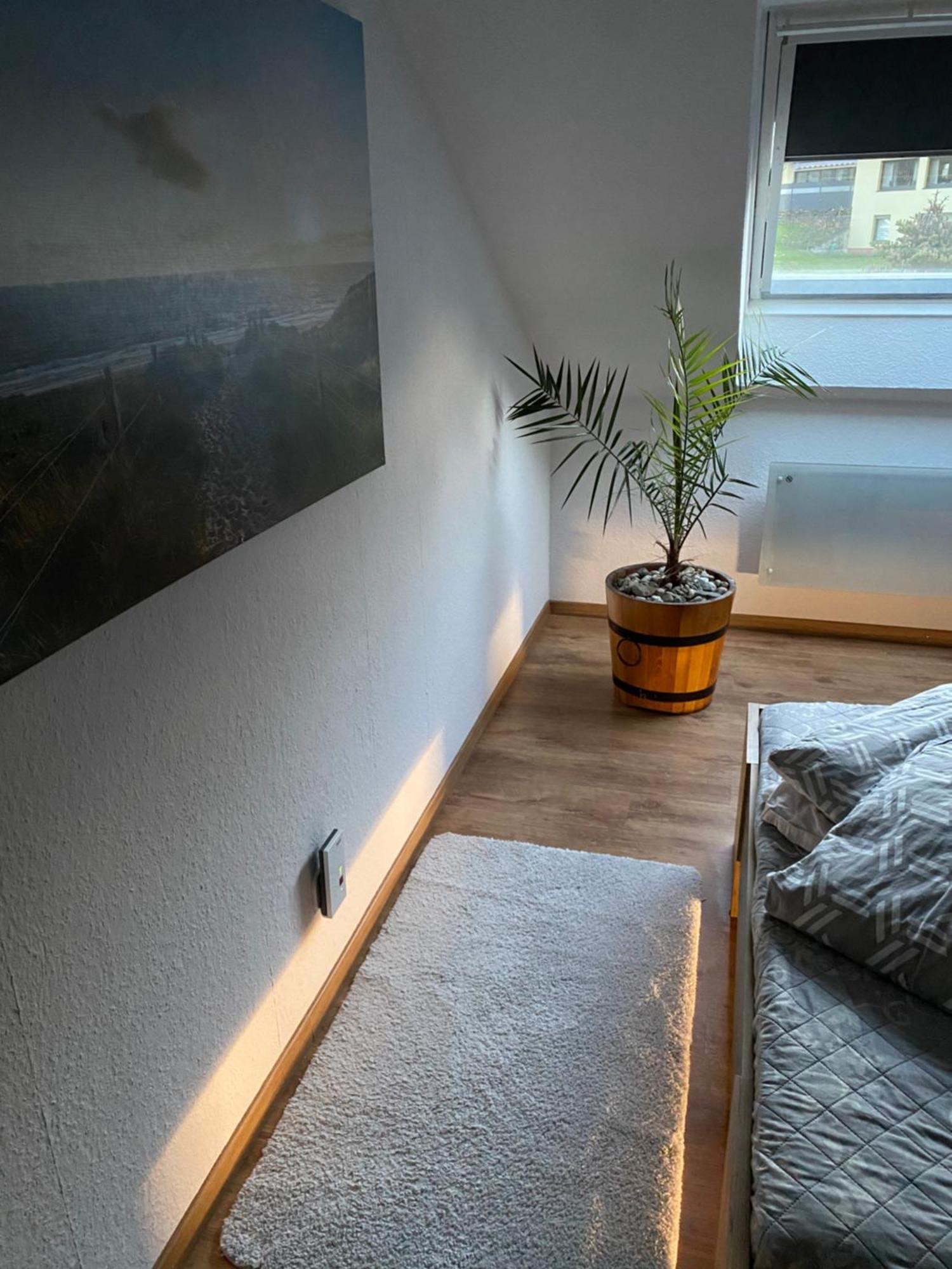 Skywalk Willingen Apartment